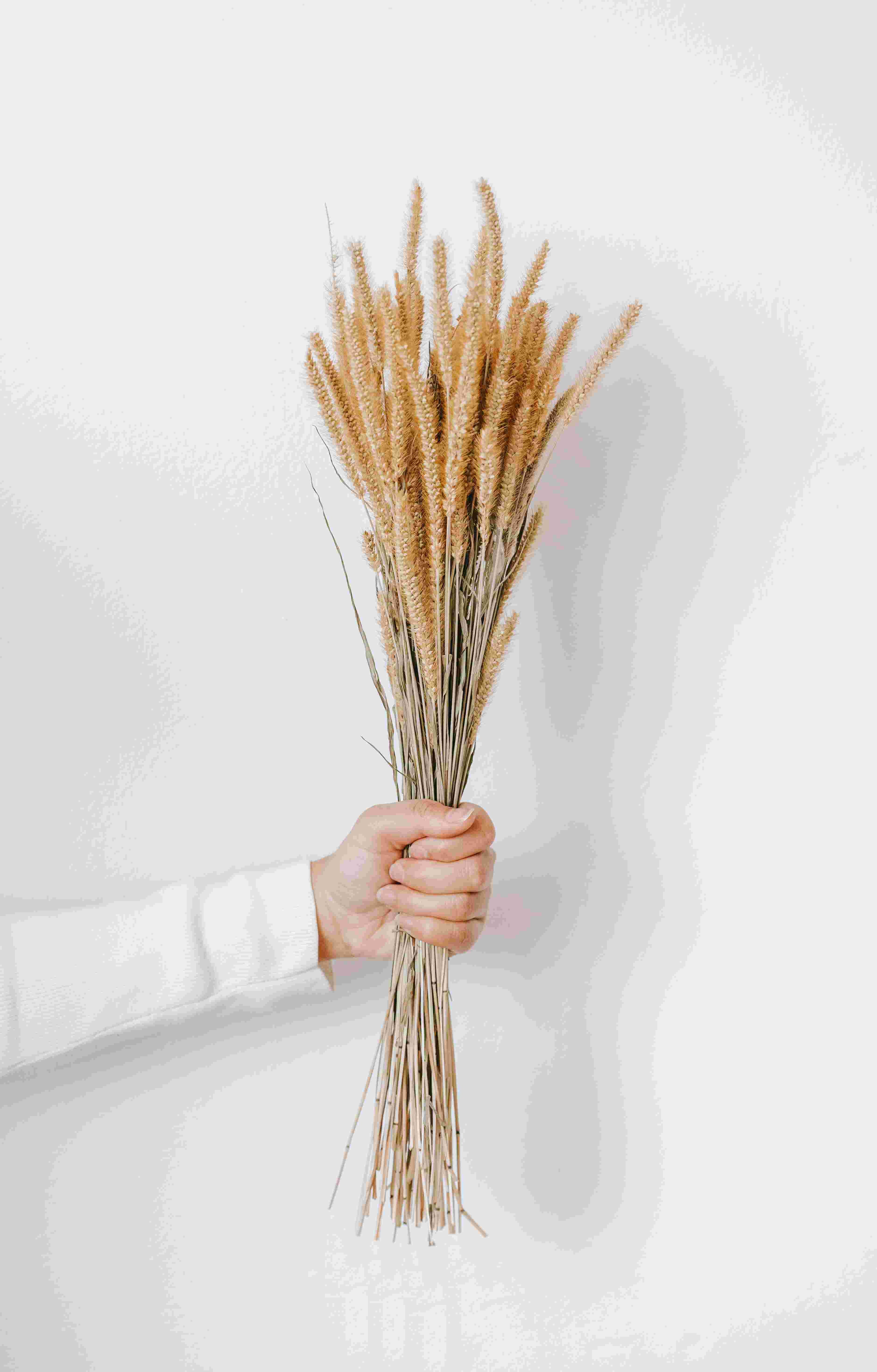 Responsive Web Design